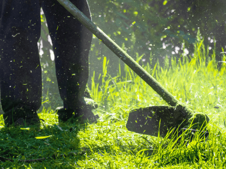 Read more about the article Eco-Friendly Lawn Care: Nurturing Nature from Your Backyard