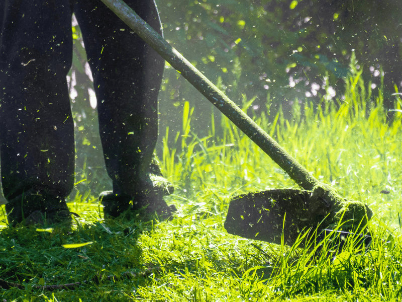 You are currently viewing Eco-Friendly Lawn Care: Nurturing Nature from Your Backyard