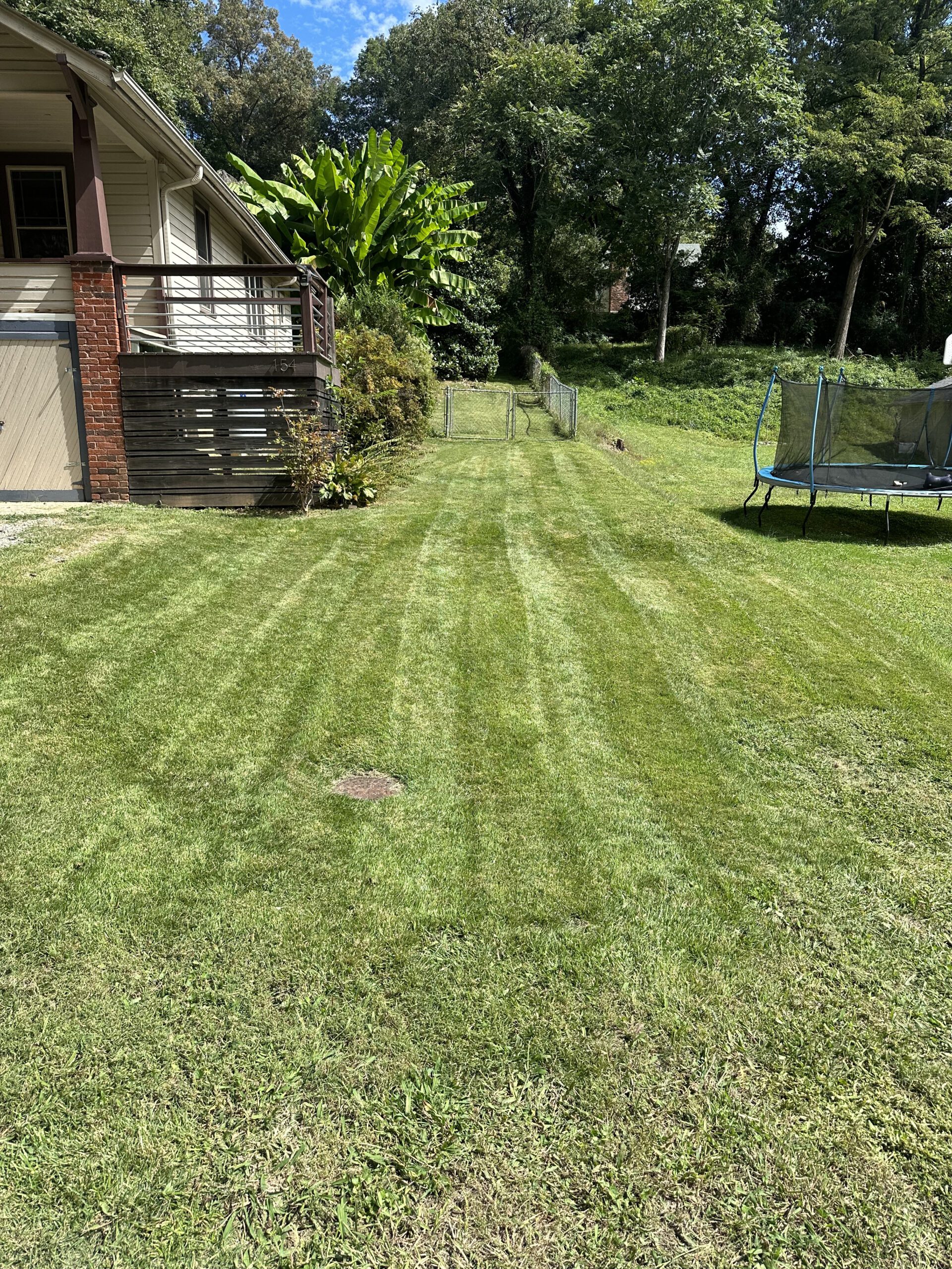 TNE LAWN LLC